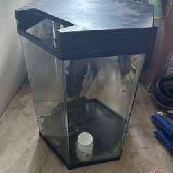 20 Gallon Aquarium and Pump For Sale