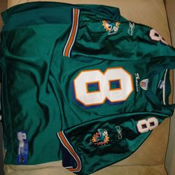 Miami Dolphins 