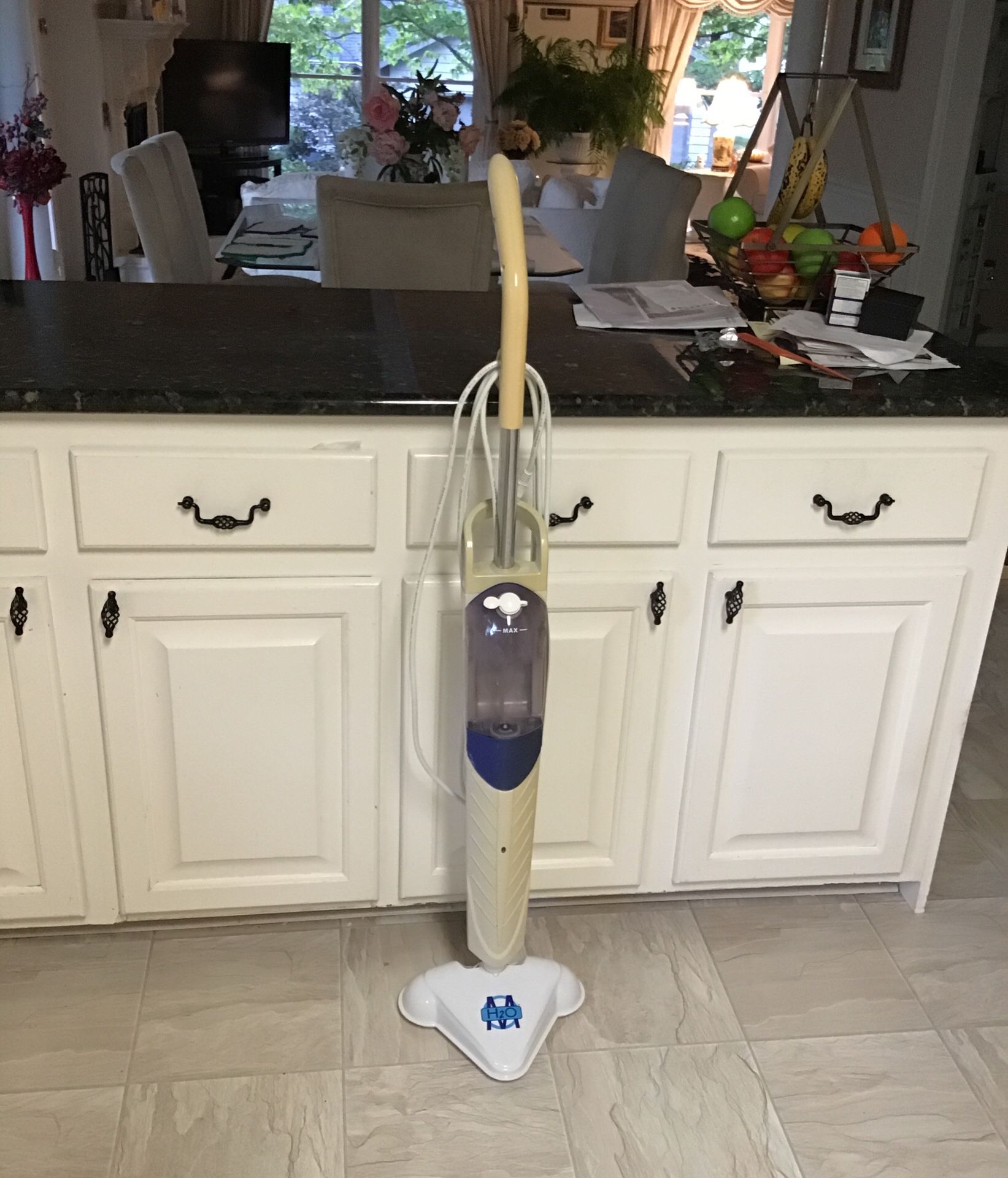 H20 Carpet and Floor Steam Cleaning Mop