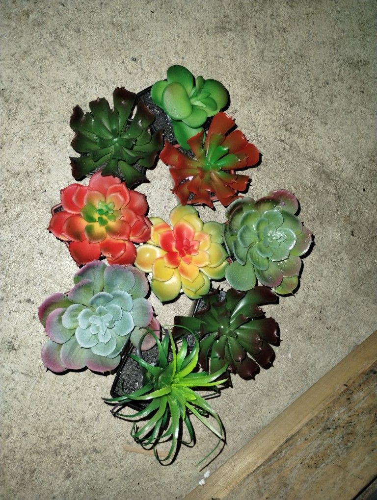 Plastic Succulents In Pots