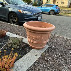 Large Sturdy Plastic Pot FREE
