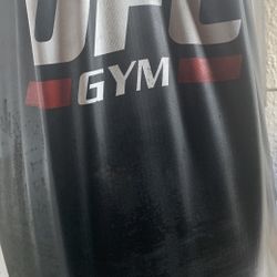 100 Lb Heavy Weight Bag