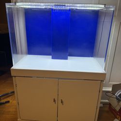 65 Gallon Aquarium With Sump Stand And Extra Piping 