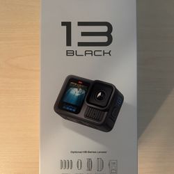 Go pro 13