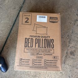 New Queen Pillows