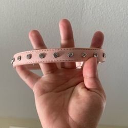 Dog Collar 