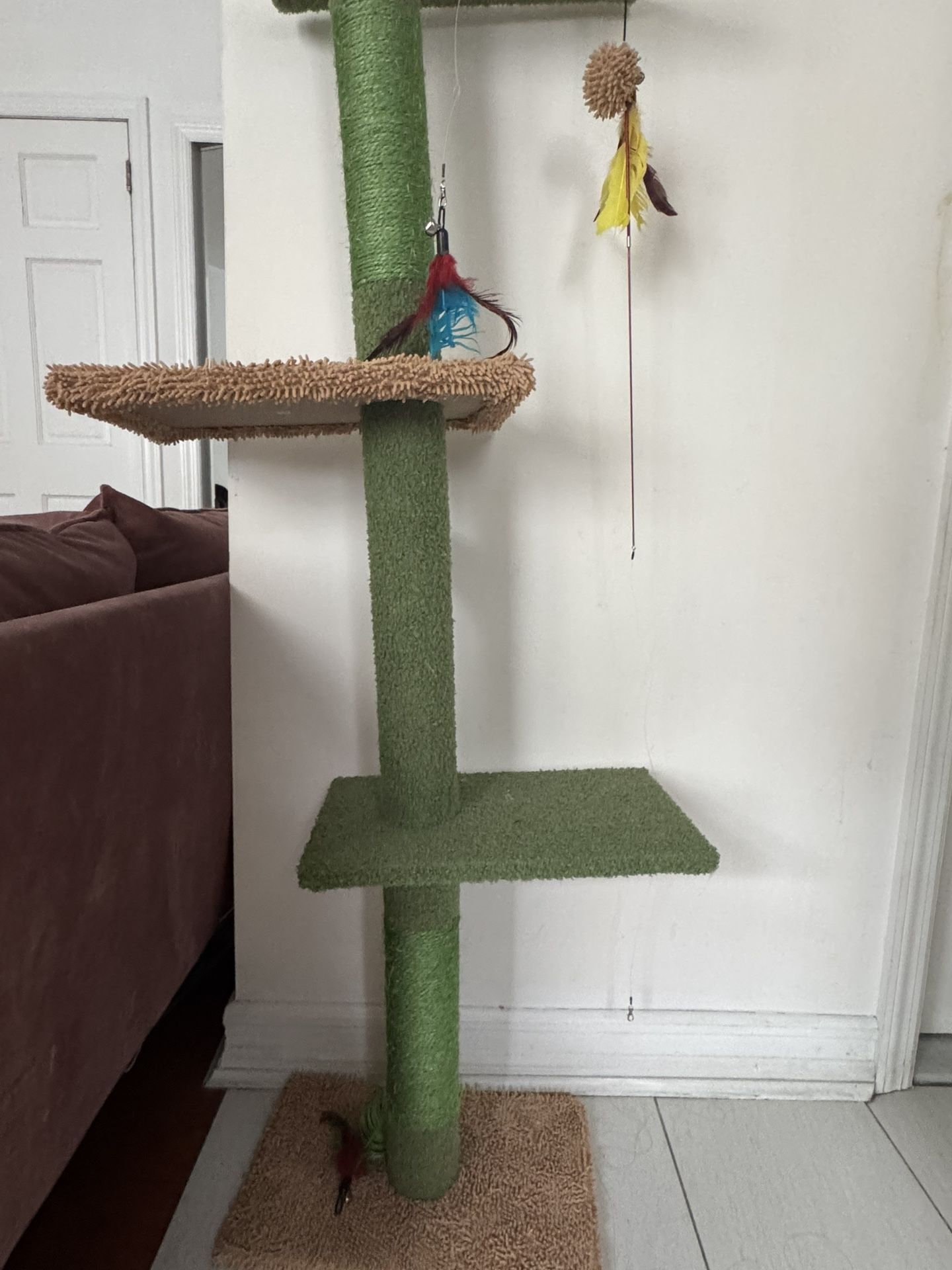 Rascador , Gato