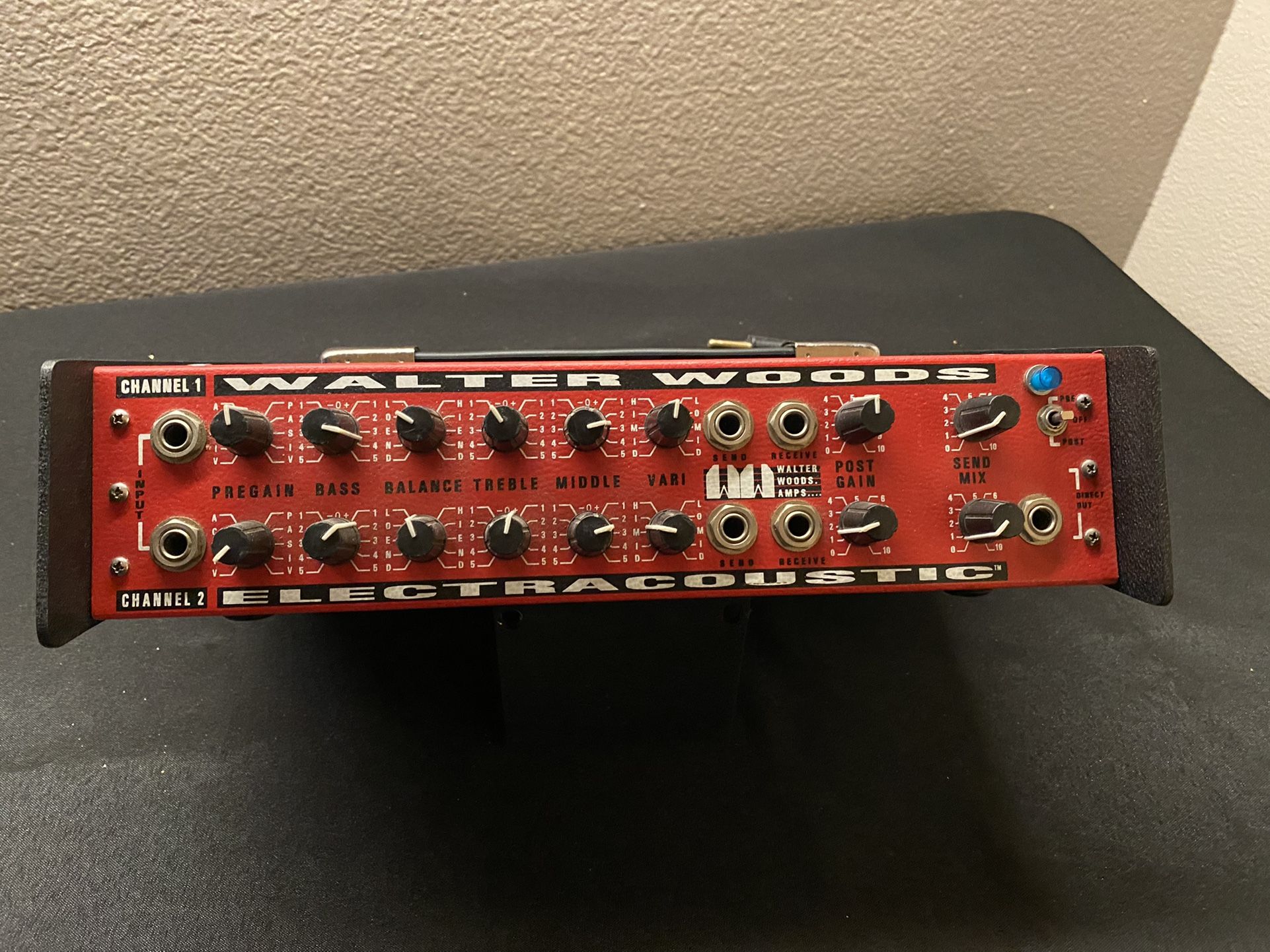 Walter Woods Electracoustic Ultra-Hi Powered Bass Amp