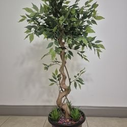 54" Faux Ficus Tree Topped with Bohemian Rainbow Stone / Succulent Greenery in a 12" Resin Planter @ Lasting Creations