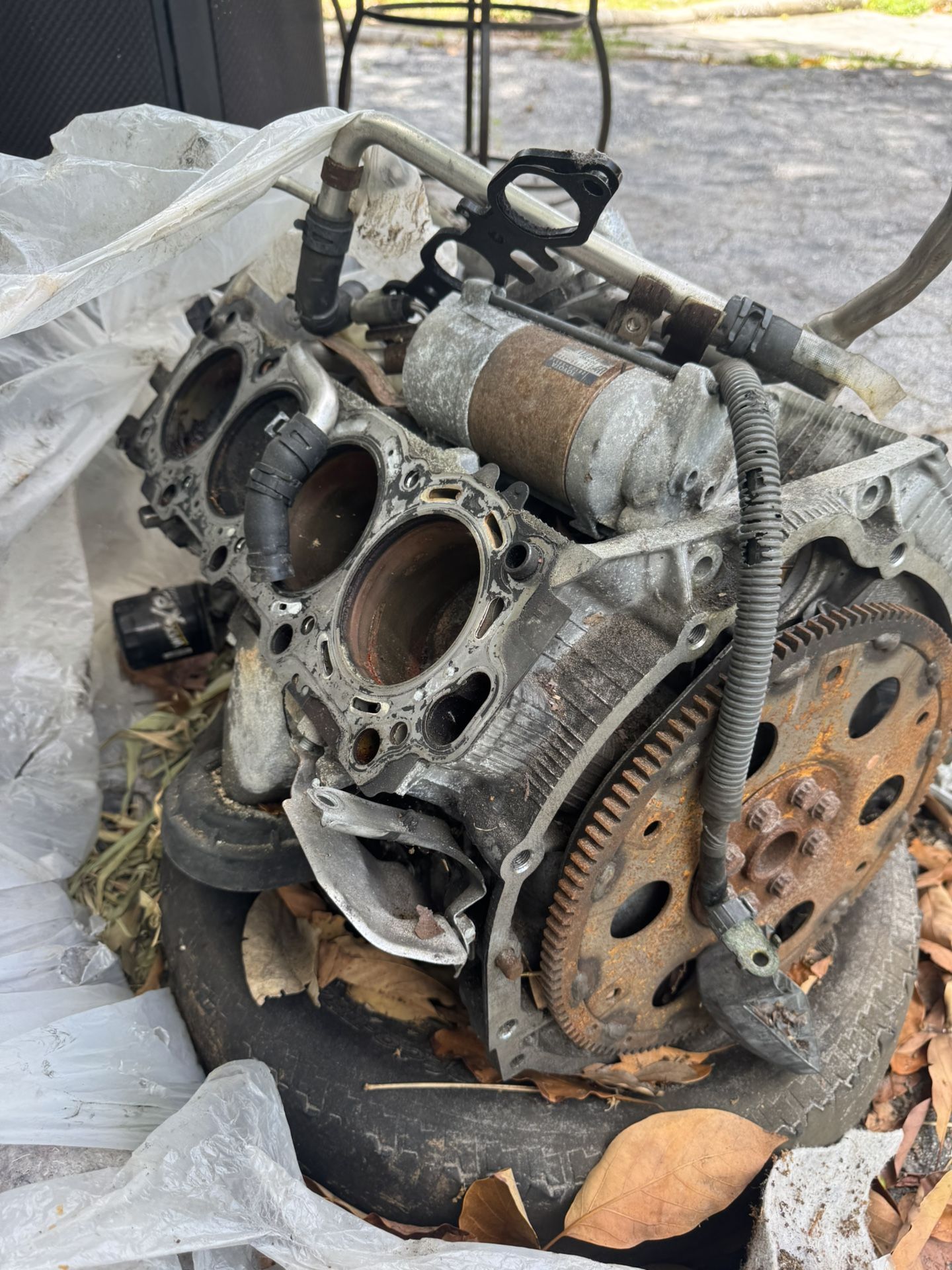 Lexus Engine