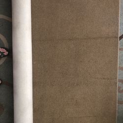 Area Rug. 5x8. Tuftex Carpet. Khaki Color