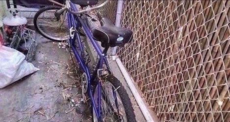 Tandem Bike