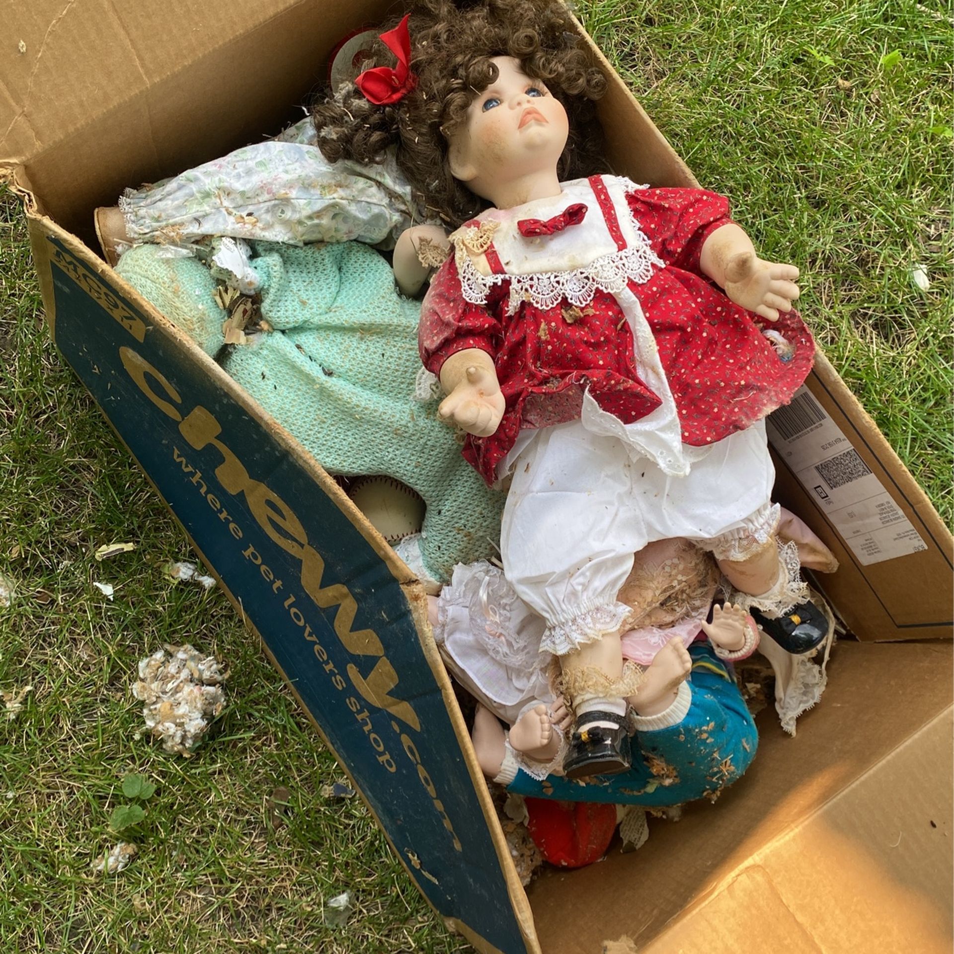 30+ Years Old Vintage Porcelain Dolls