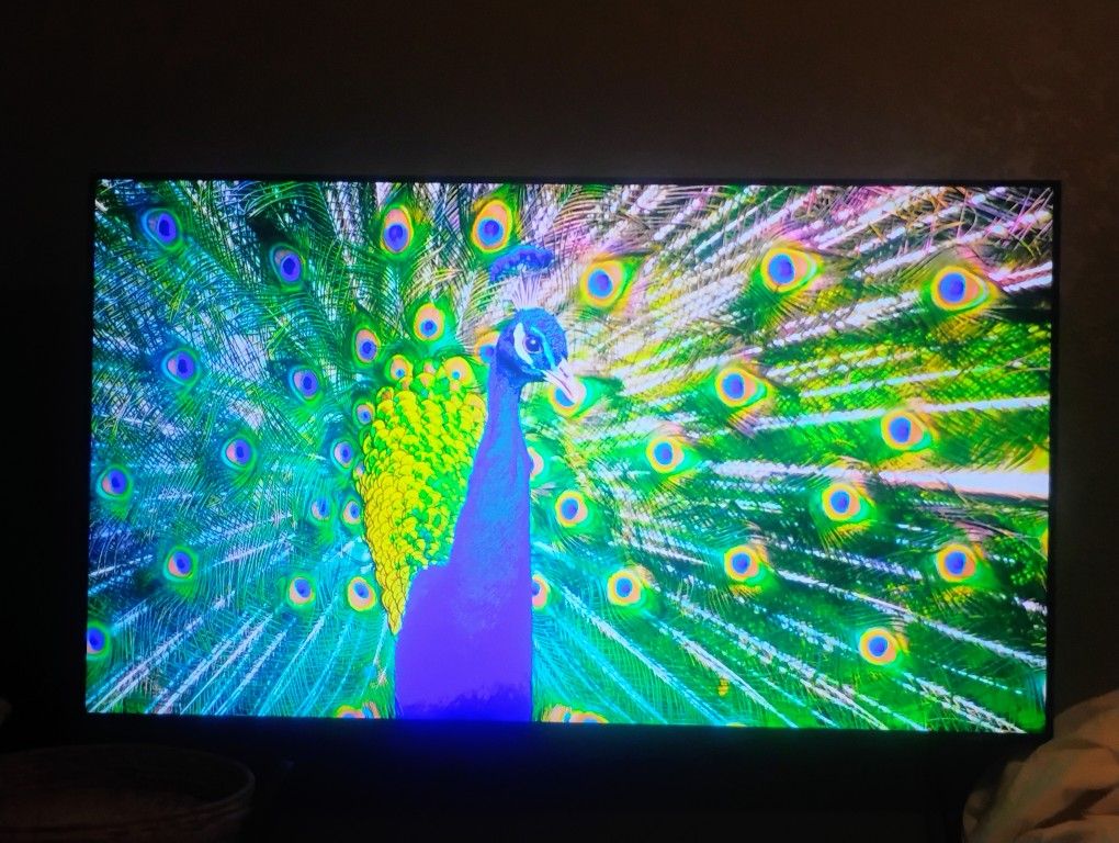 50 Inch Samsung T.V.