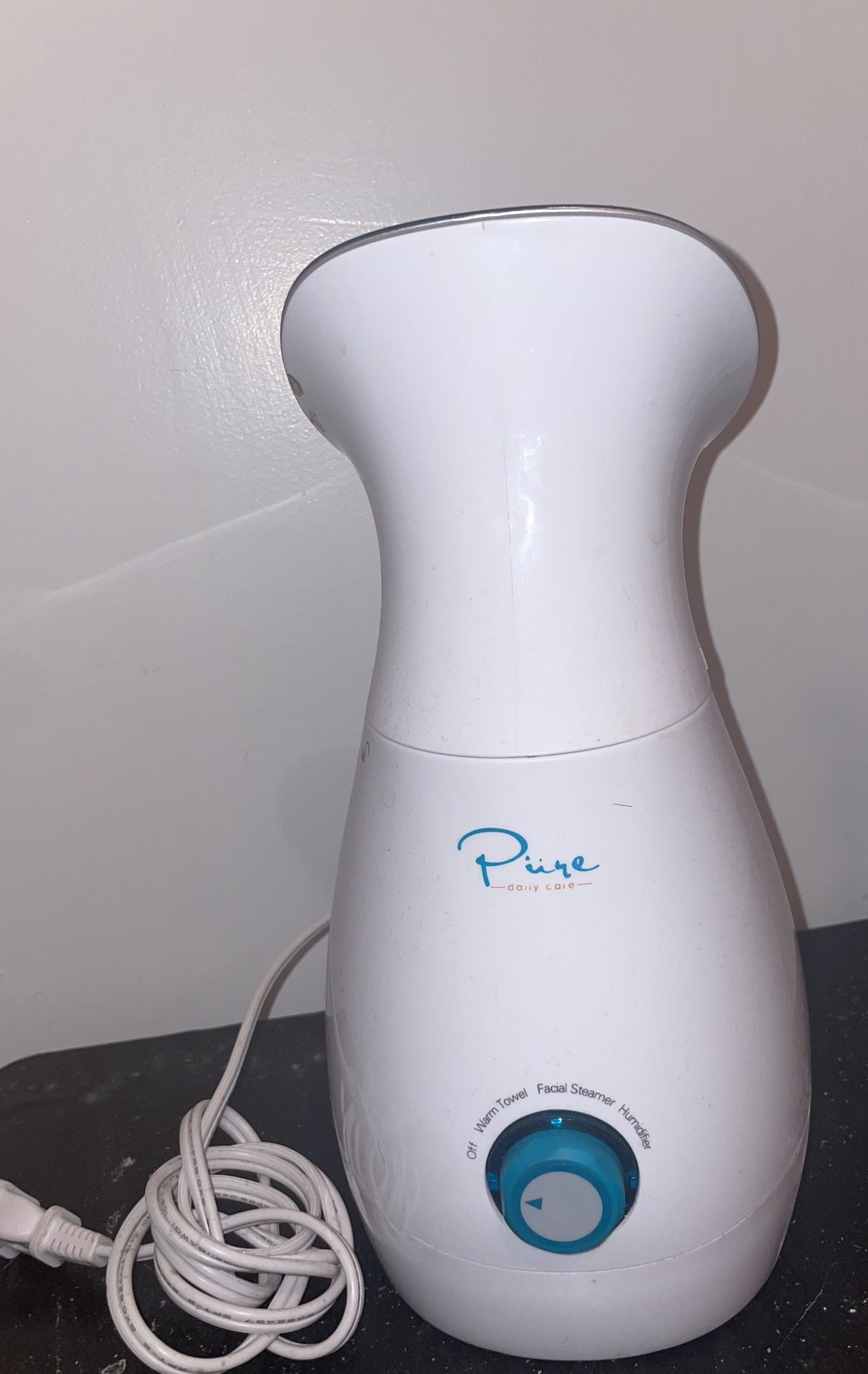 Facial Steamer 