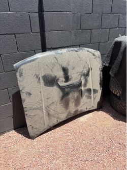 4Runner sport hood
