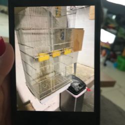 Cockatiel Cage 