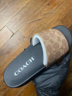Slides