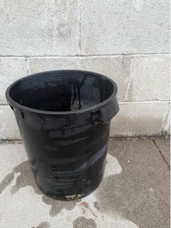 Plastic Plant Pots or Planters