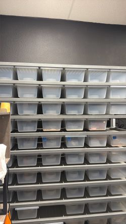 Incubator warming for reptiles