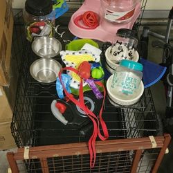 Dog Essentials