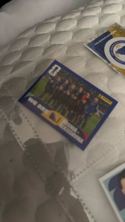 Bosnia panini stickers