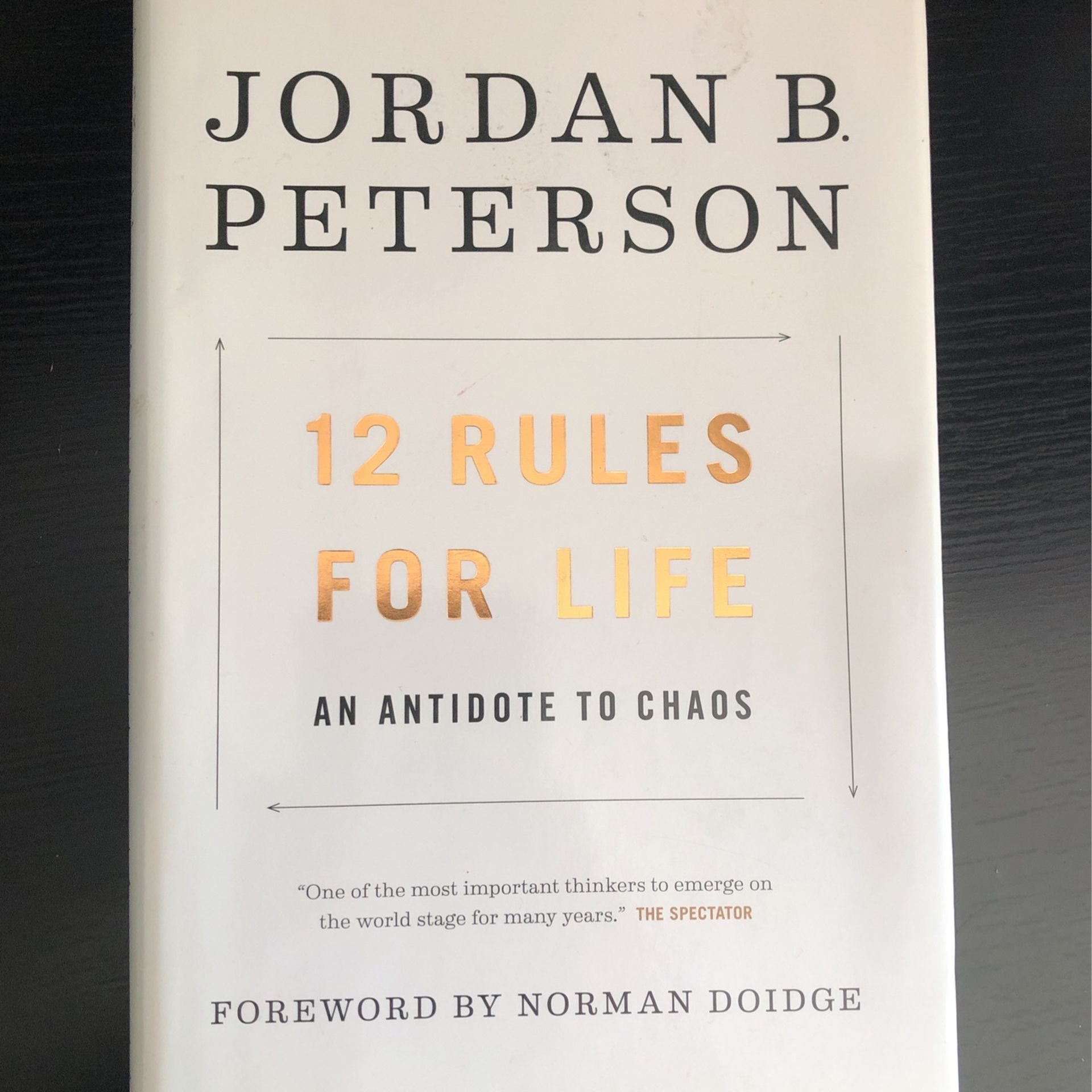 Jordan B. Peterson “12 rules for life and antidote to chaos”