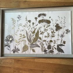 Framed Botanical Print Picture