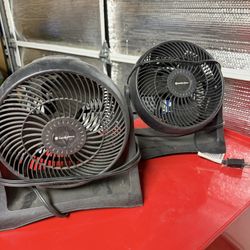 fan