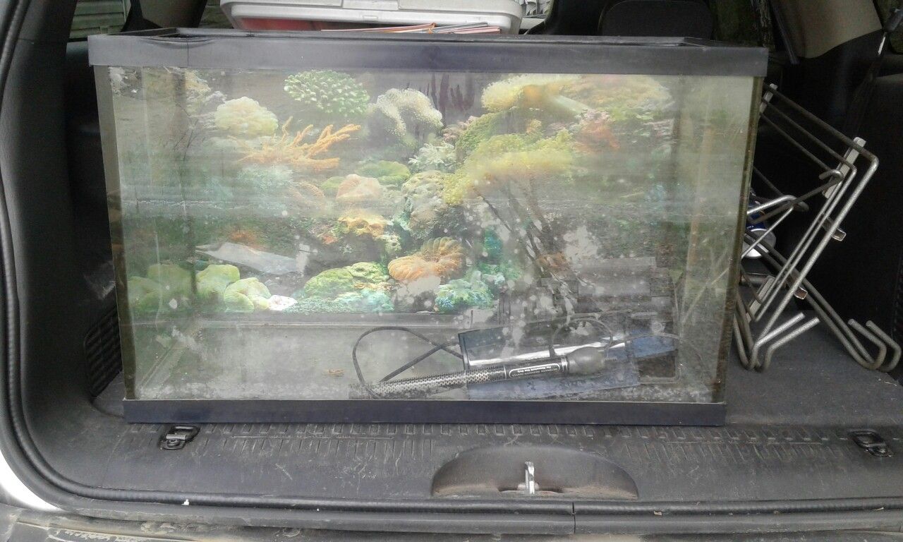 Fish tank with stand