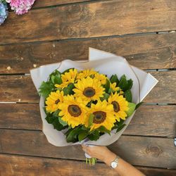 Girasoles