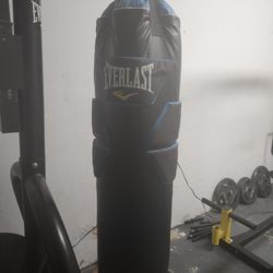 100lbs Everlast Punching Bag With Stand