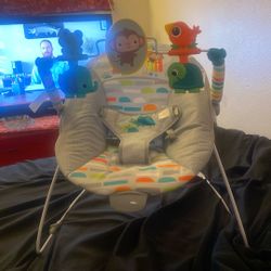 Baby Bouncer