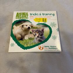 Trick And Training Pet Video
