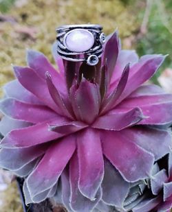 Rose quartz ring