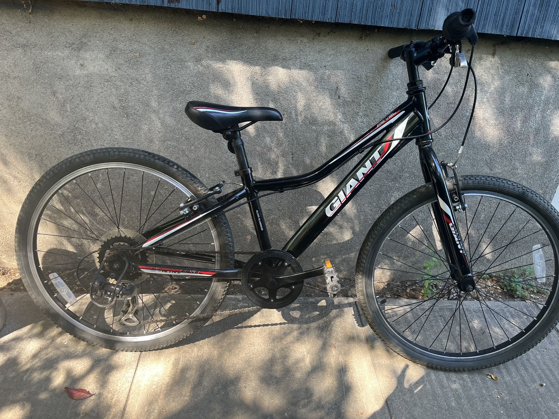 Giant Revel 24″ Youth Mountain Bike