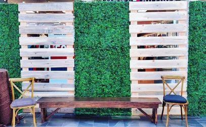 Boxwood hedge wall backdrop hedges