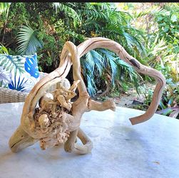 Sculptural Driftwood
