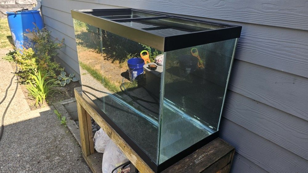 60 Gallon Aquarium
