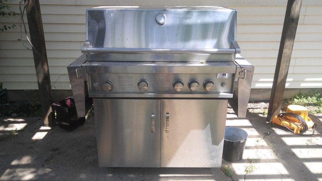 Professional gas grill