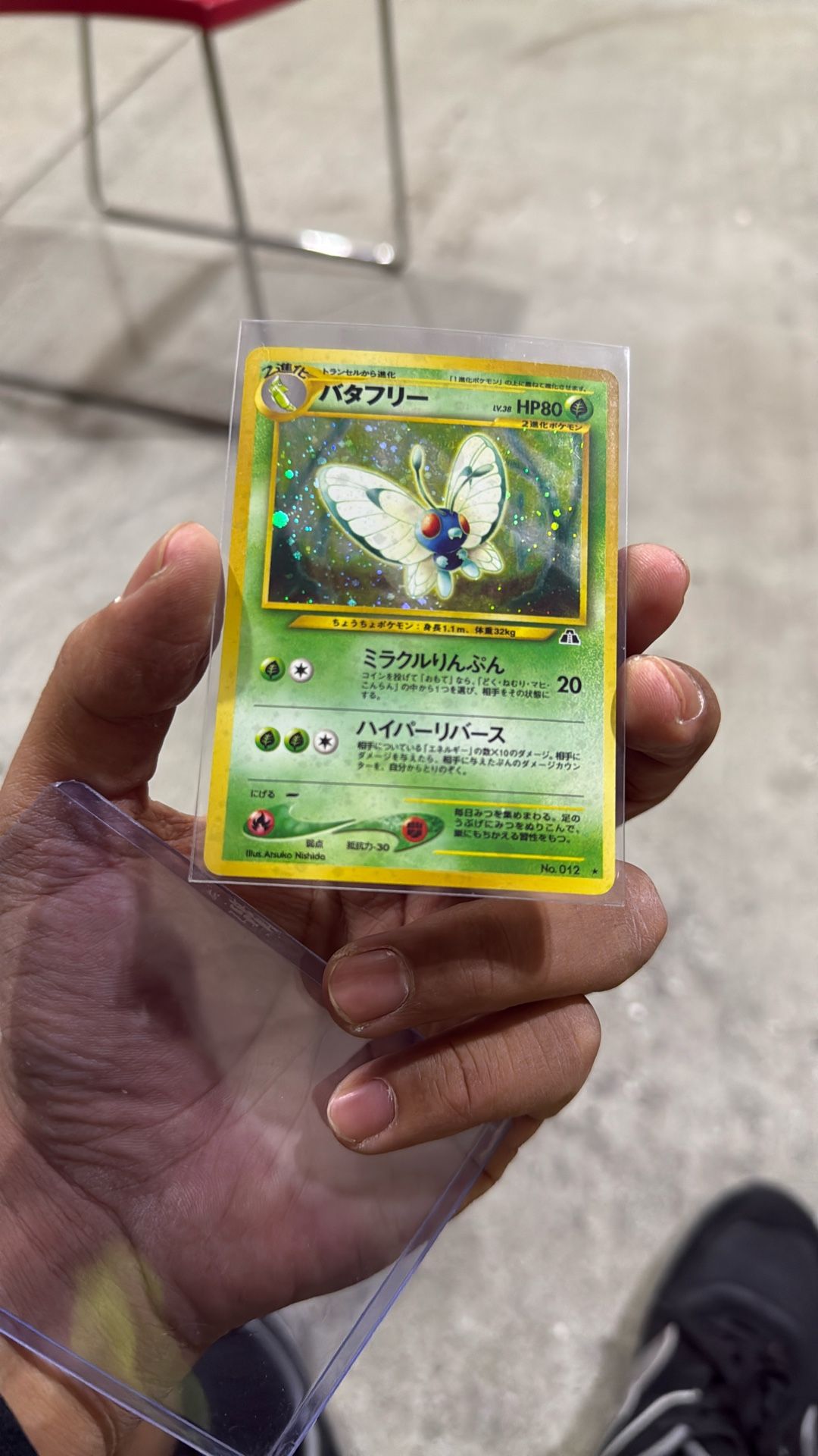 Butterfree Crossing The Ruins No 012