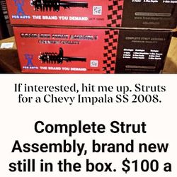 Complete Strut Assembly 