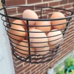 Soy Free, Free Range Eggs 