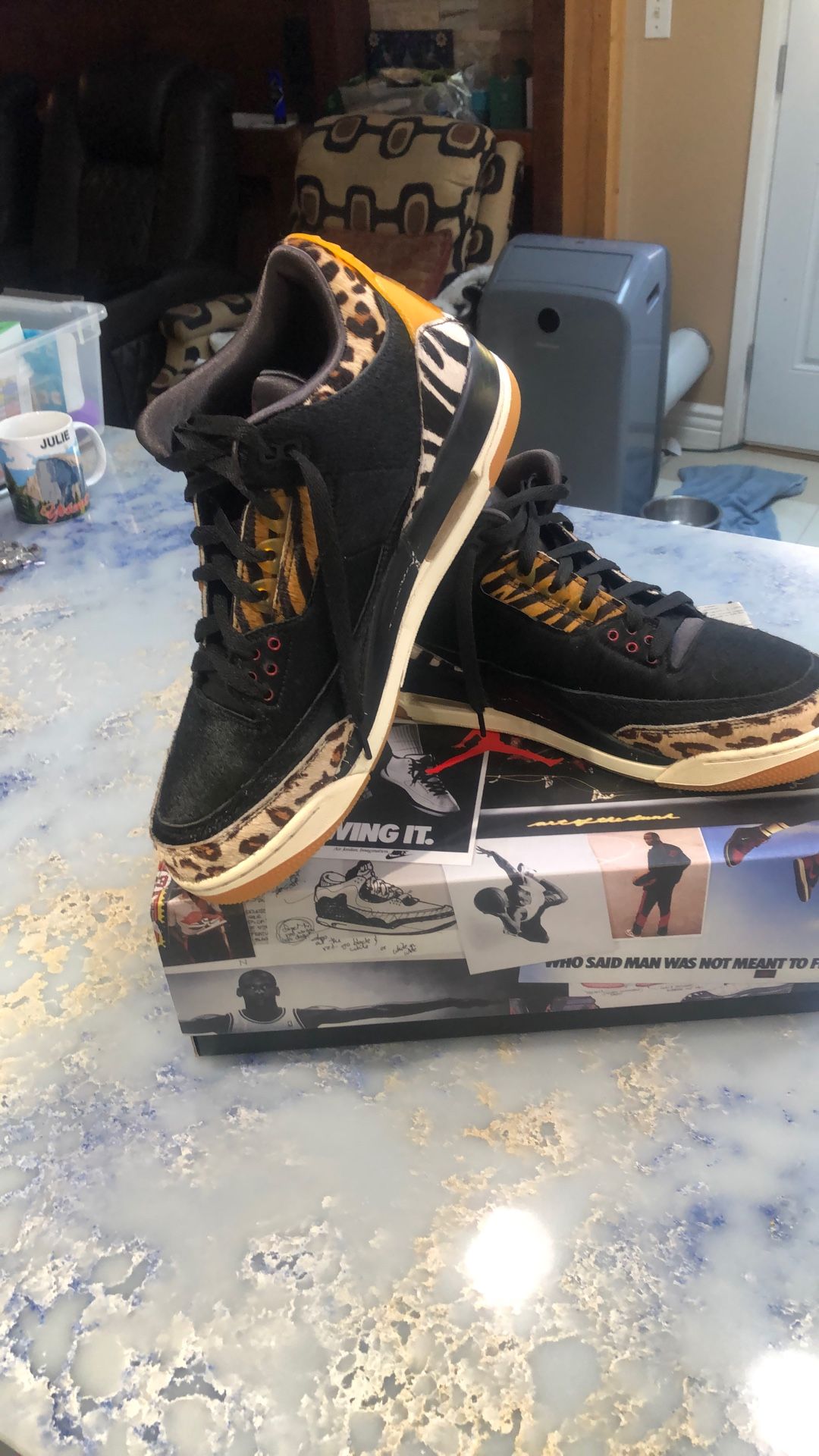 Air Jordan 3 Retro