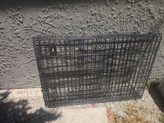 Large cage