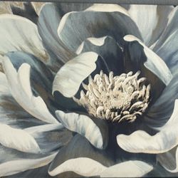 Peony Wall Art Canvas 