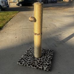 Cat Scratcher