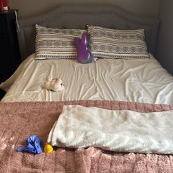 Queen Size Bed Frame & Full Size Tempur-Pedic Mattress 