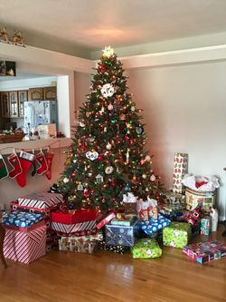 7 ft. Pre-Lit Dunhill Fir Hinged Tree with PowerConnect Dual Color LED Lights