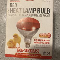 Heat Lamp Bulb